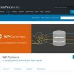 WP Optimize